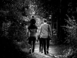 promenade dans les bois